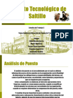 Analisis de Puestos