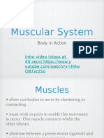 Muscularsystemnotes 2017 Ahi