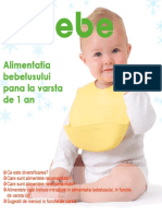 bebeGhid.pdf