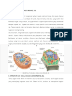 Pengertian, Fungsi, Dan Macam Macam Organel Sel