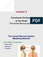 Lecture 3 - Functional Divisions of The Brain - 2