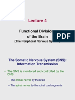 Lecture 4 - Functional Divisions of The Brain - 3