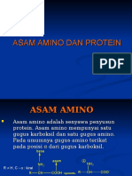 Asam Amino & Protein 1