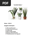 Download Makalah Prakarya Lidah Mertua by byan SN339309636 doc pdf