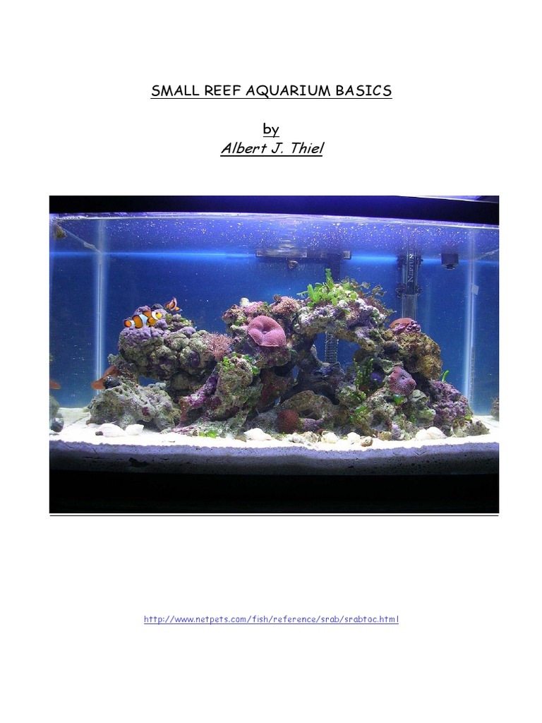 Picture of Budget-Friendly Reef Aquarium Setup | PDF | Aquarium | Filtration