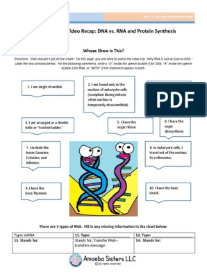 video recap of dna vs rna and protein synthesis by amoeba sisters 2.