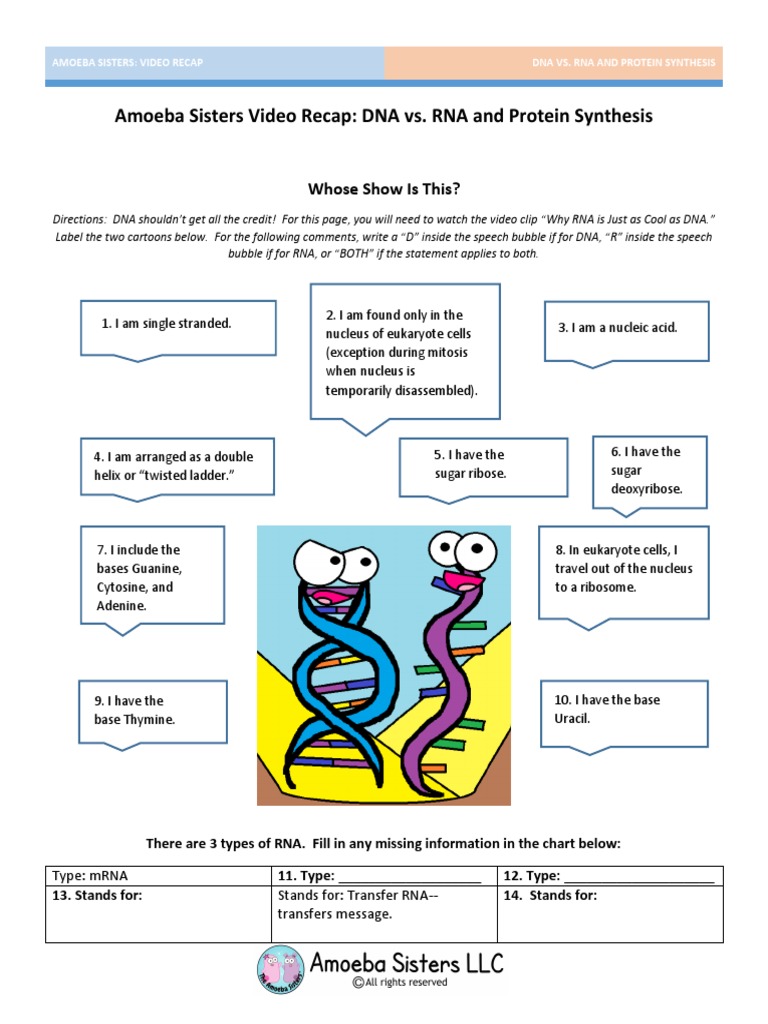 worksheet Dna Rna And Proteins Worksheet worksheet on dna rna and protein synthesis video recap of vs by amoeba sisters protein