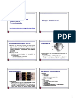 Curs 02 PDF