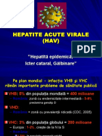 Curs 21 - Hepatite Virale Acute