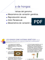 Genetica Hongos PDF