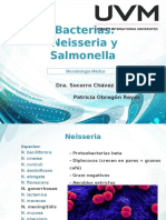 Micro II Neisseria y Salmonella