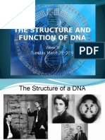 BioMol, Struktur DNA (2)