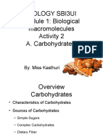 SBI3UI Biology Module 1 Carbohydrates