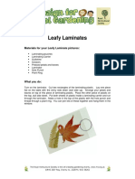Leafy Laminates: Materials For Your Leafy Laminate Pictures