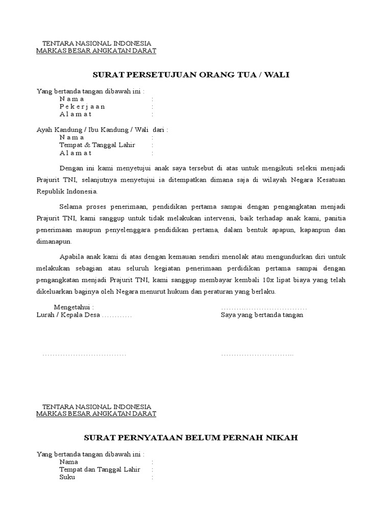 Tentara Nasional Indonesia