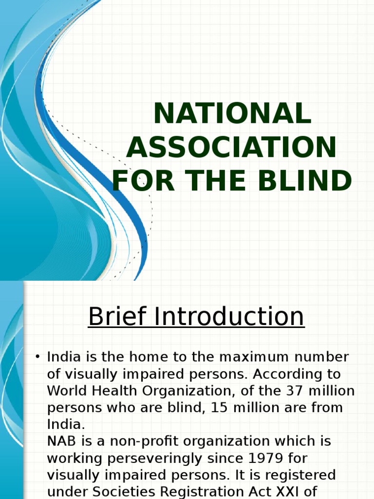 National Association for the Blind Overview | PDF | Visual Impairment ...