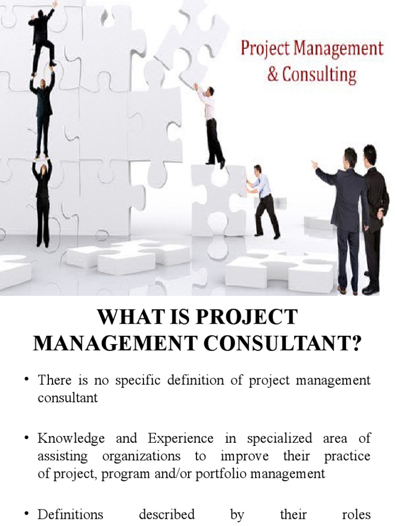 Project Management Consultant | PDF | Project Management | Industries