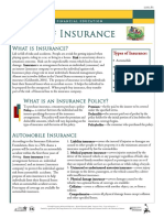 option 6 types of insurance information sheet