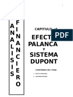 Efecto Palanca y Sistema Dupont