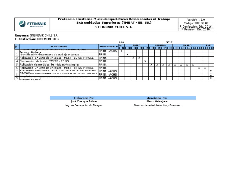 1. Gantt Aplicación Protocolo Tmert - Steinsvik Chile s.a 