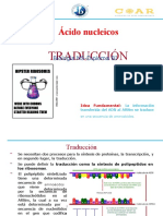 Traducción Del Adn