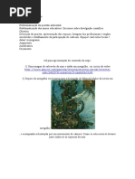 Volta Ao Mar Em 80 Mundos