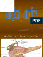 Surgical Jaundice