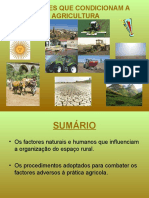 2 Factorescondicionantesdaagricultura 101026070357 Phpapp02