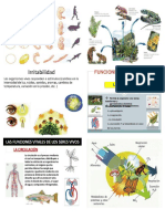 Funciones de Los Seres Vivos