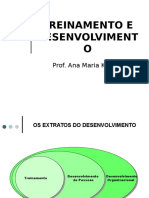 Treinamento e Desenvolvimento