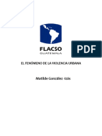 Informe Final - El Fenomeno de La Violencia. Matilde Gonzalez. Revisado 23.01.2017