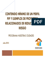 PERFIL REDUCCION DE RIESGO.pdf