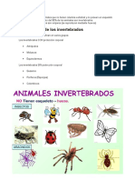 Animales Invertebrados