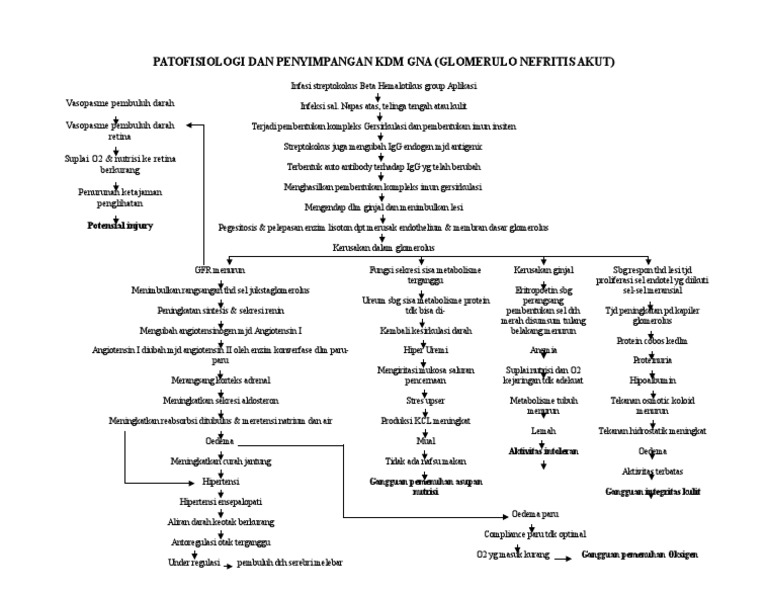 Patofisiologi Dan Penyimpangan KDM Gna | PDF