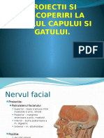 Proiectii Nervi I