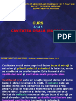 Curs 3 - Cavitatea Orala