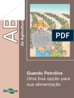 ABC - Guandu Petrolina - 26.pdf