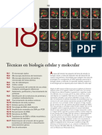 Karp 7a 18 Tecnicas Biologia Molecular