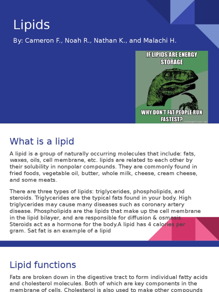 Lipids | PDF | Wellness