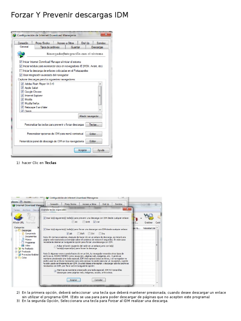 Forzar Y Prevenir Descargas IDM | PDF | Informática