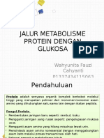 Jalur Metabolisme Protein Dengan Glukosa