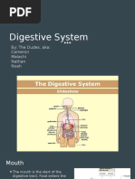 Digestive System Project 1