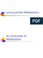 Carbohydrate Metabolism