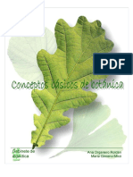 Conceptos Basicos de Botanica PDF