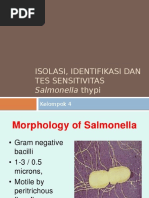 Isolasi, Identifikasi Dan Tes Sensitivitas Salmonella SP