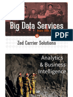 Big Data Services