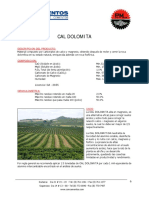 Cal Dolomita comcementos.pdf