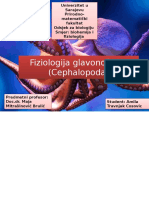 Fiziologija Glavonožaca