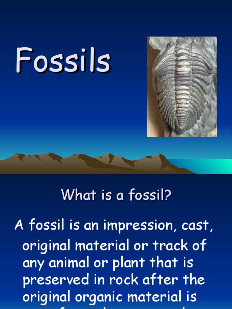 fossils ppt