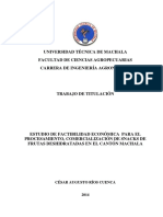 TESIS de Factibilidad PDF